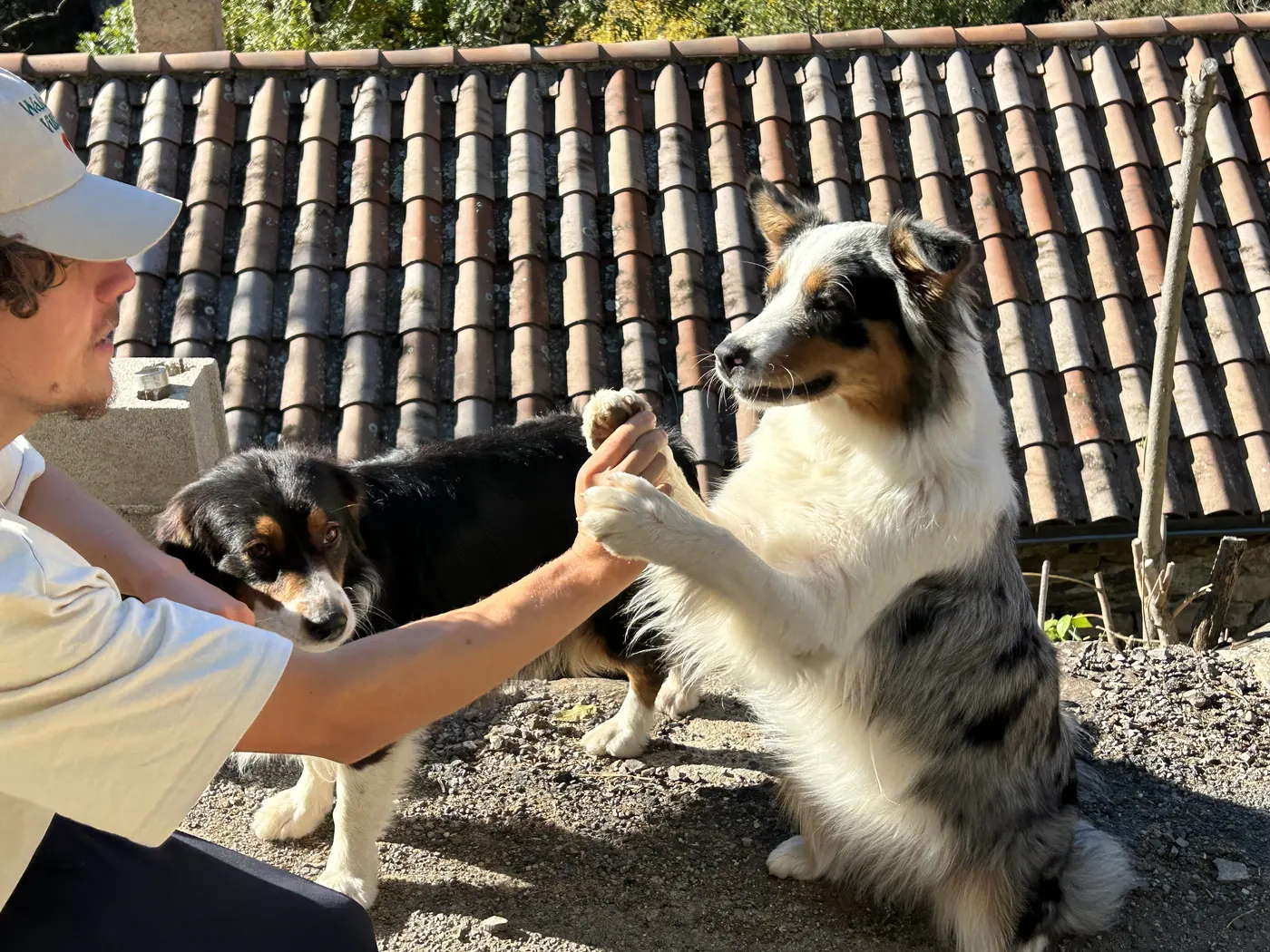 Bastien et ses chiens — Wake Up Village