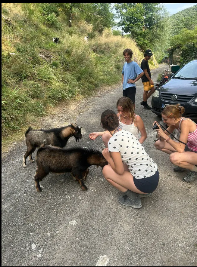 Les chèvres de Wake Up Village avec les woofers