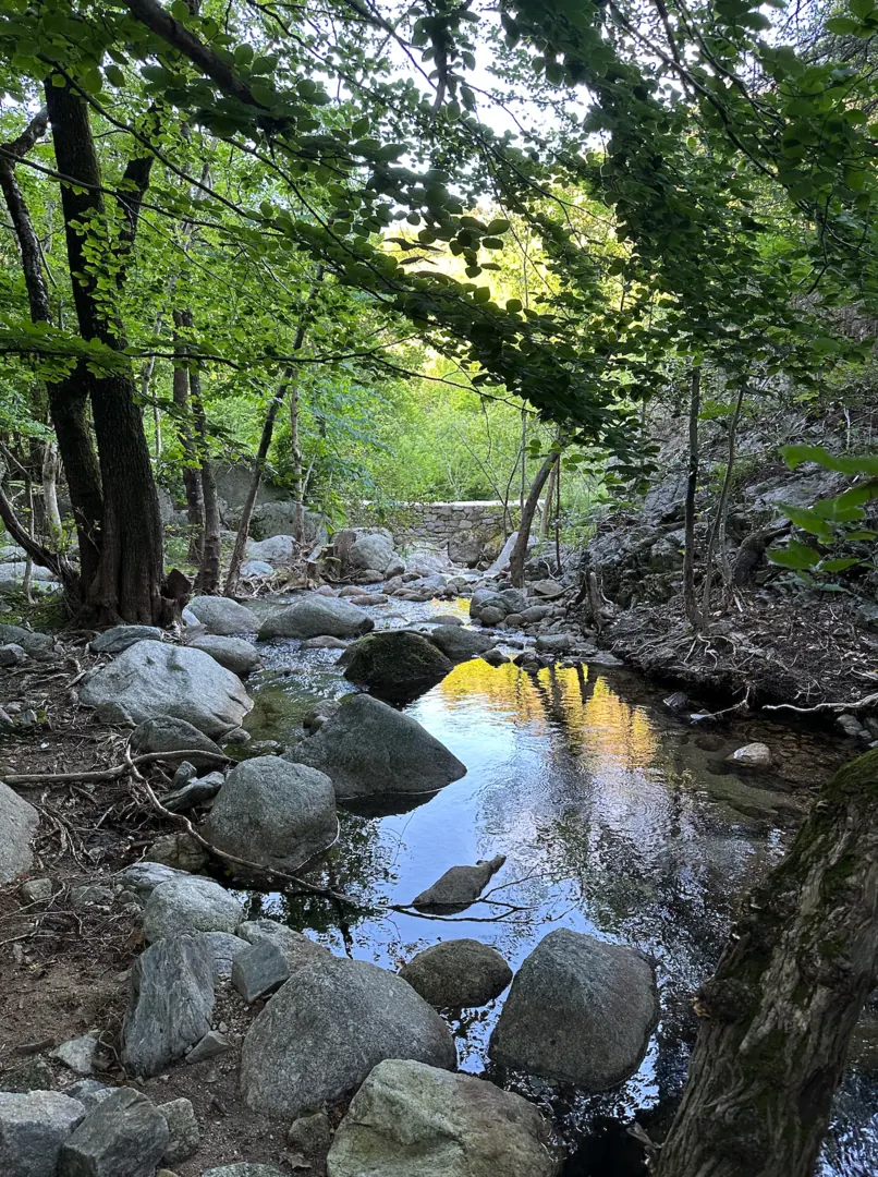Rivière des Cévennes