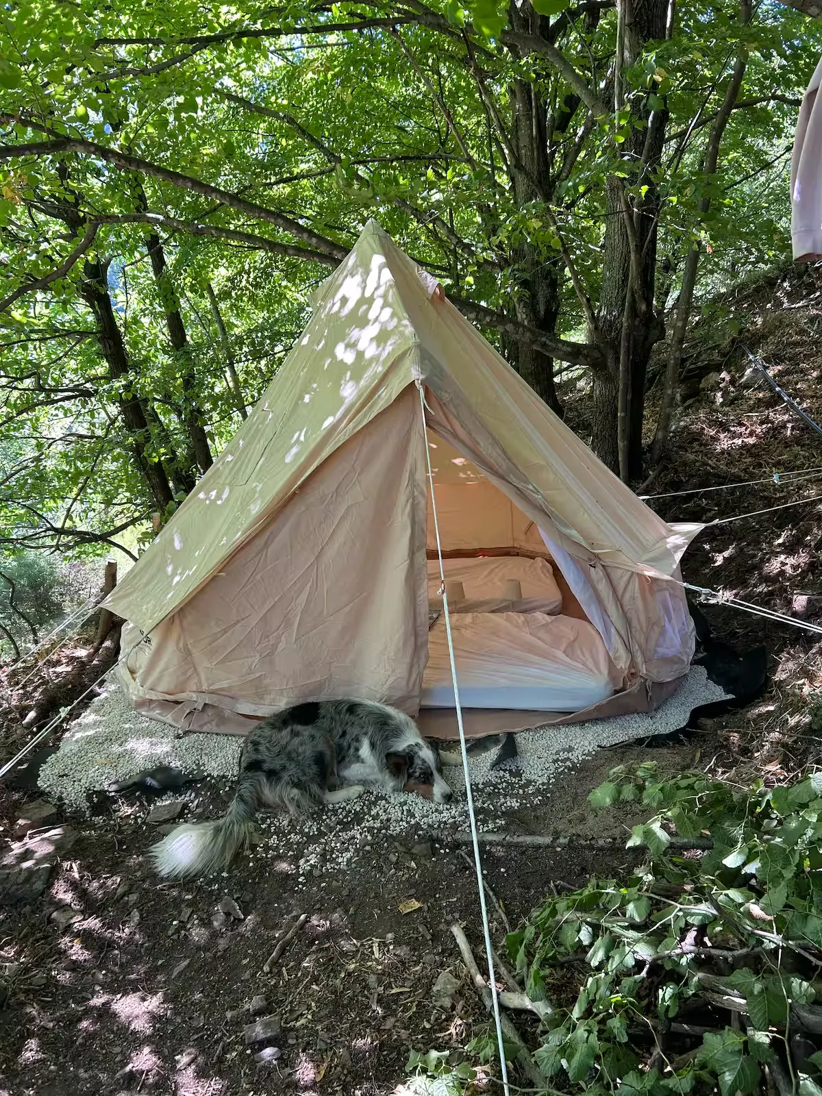 Votre tipi de jour, niché dans la châtaigneraie
