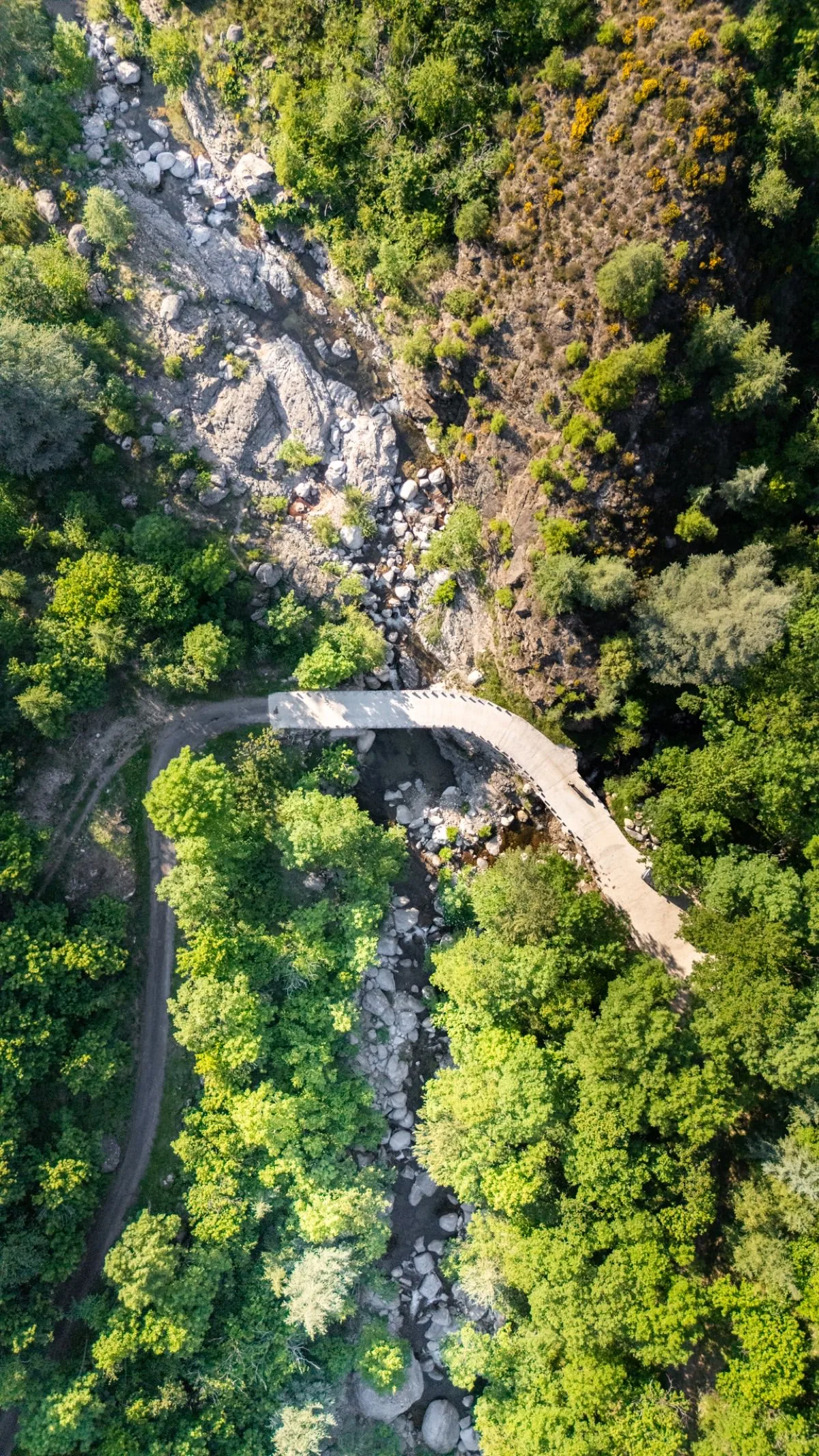 Les rochers lisses au bord de l'eau